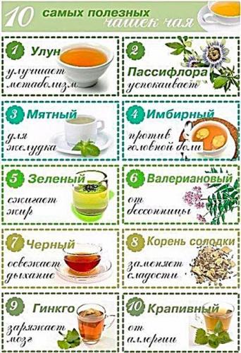 Какие травы можно и нельзя пить при беременности?