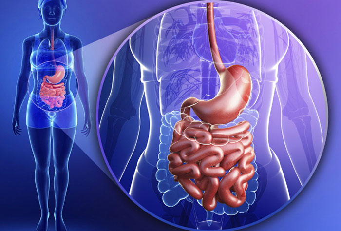Чем лечить синдром раздраженного кишечника