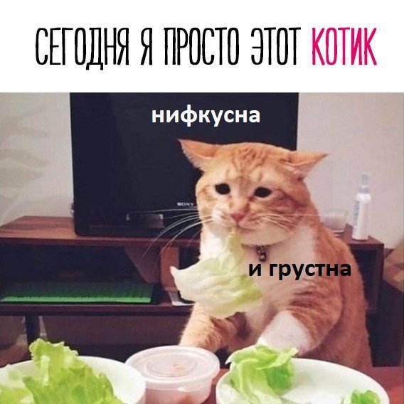 Все об эстонской диете. эстонская диета на 6 дней