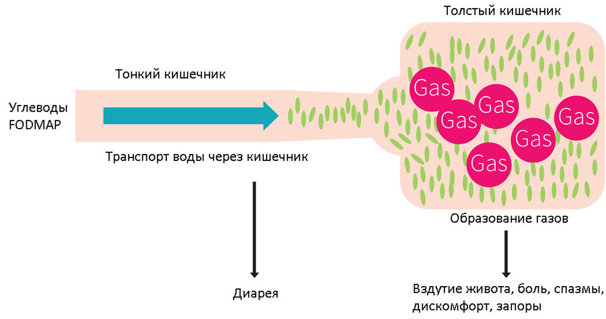 Правила питания при синдроме раздраженного кишечника