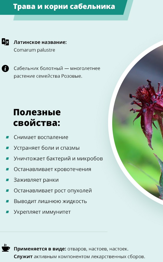 Мазь и таблетки сабельник эвалар: отзывы, инструкция по применению, настойка, показания, гель сабельник с хондроитином