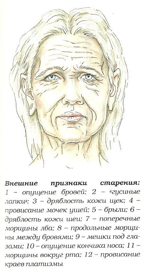 Почему с возрастом худеет лицо. как похудеть в лице: поможет ли диета?