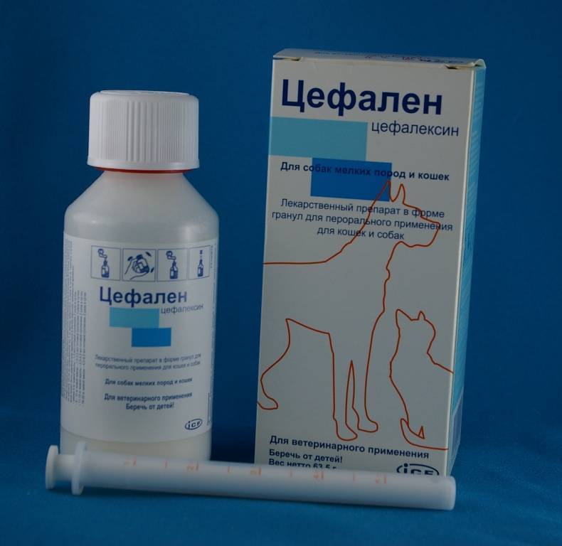Цефазолин для кошек способ применения, разведение и дозировка