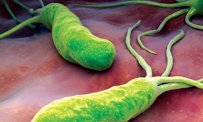 Диета при язве желудка и двенадцатиперстной кишки: стол и рецепты