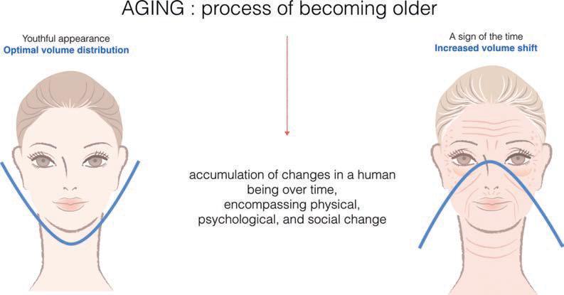 Худеет лицо с возрастом. процессы старости, отражающиеся на внешности человека