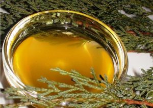 Мазь и таблетки сабельник эвалар: отзывы, инструкция по применению, настойка, показания, гель сабельник с хондроитином