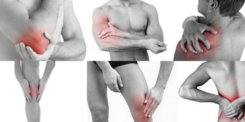 Мазь и таблетки сабельник эвалар: отзывы, инструкция по применению, настойка, показания, гель сабельник с хондроитином