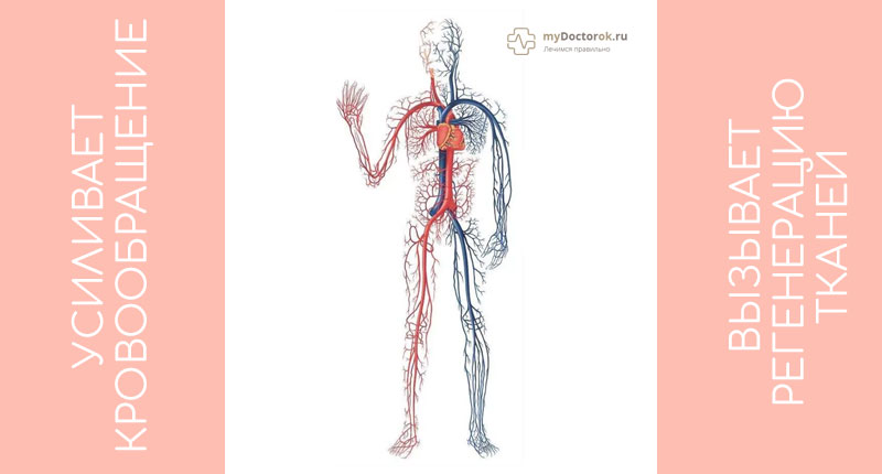 Наятокс - инструкция по применению