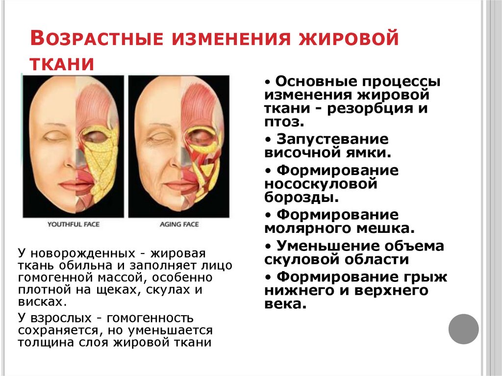Как вернуть нормальный объем лица - методы восстановления