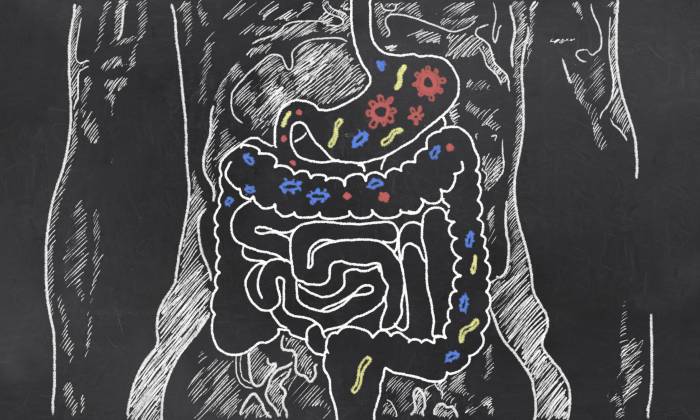 Какой должна быть диета при срк с диареей?