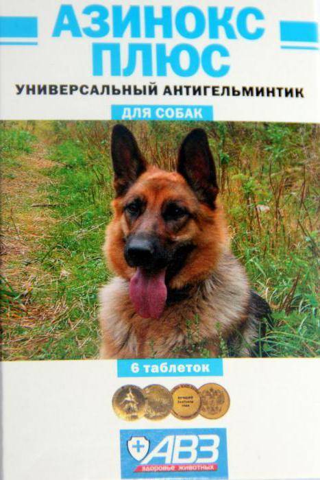 Паразиты человекаПиперазин инструкция по применению для животных собак