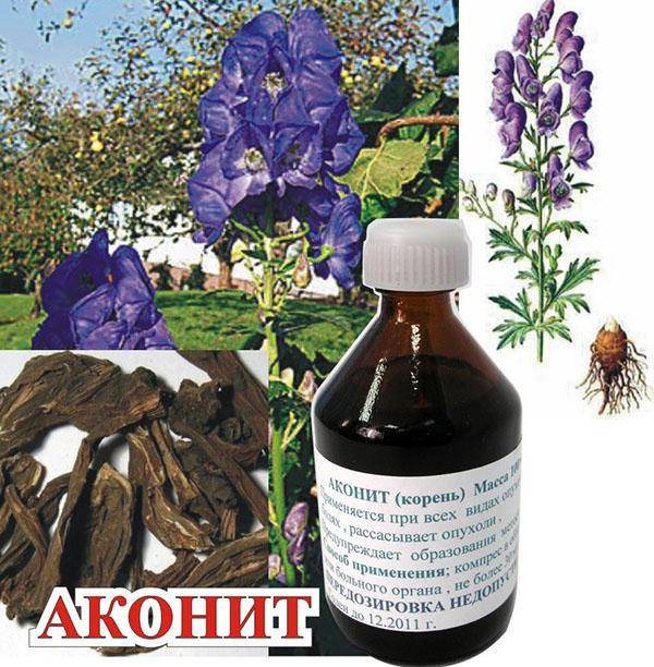 Доктор Ионов Аконит лечит рак