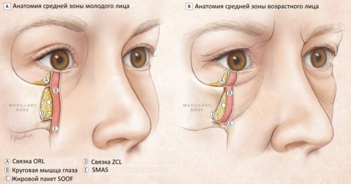 Как вернуть упругость коже