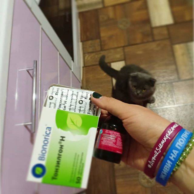 Спрей люголь детям для лечения стоматита и гнойной ангины