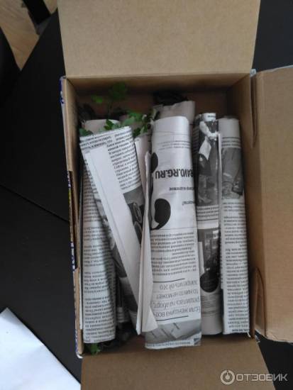 Все об эстонской диете