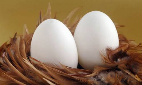 Можно ли греть нос при гайморите